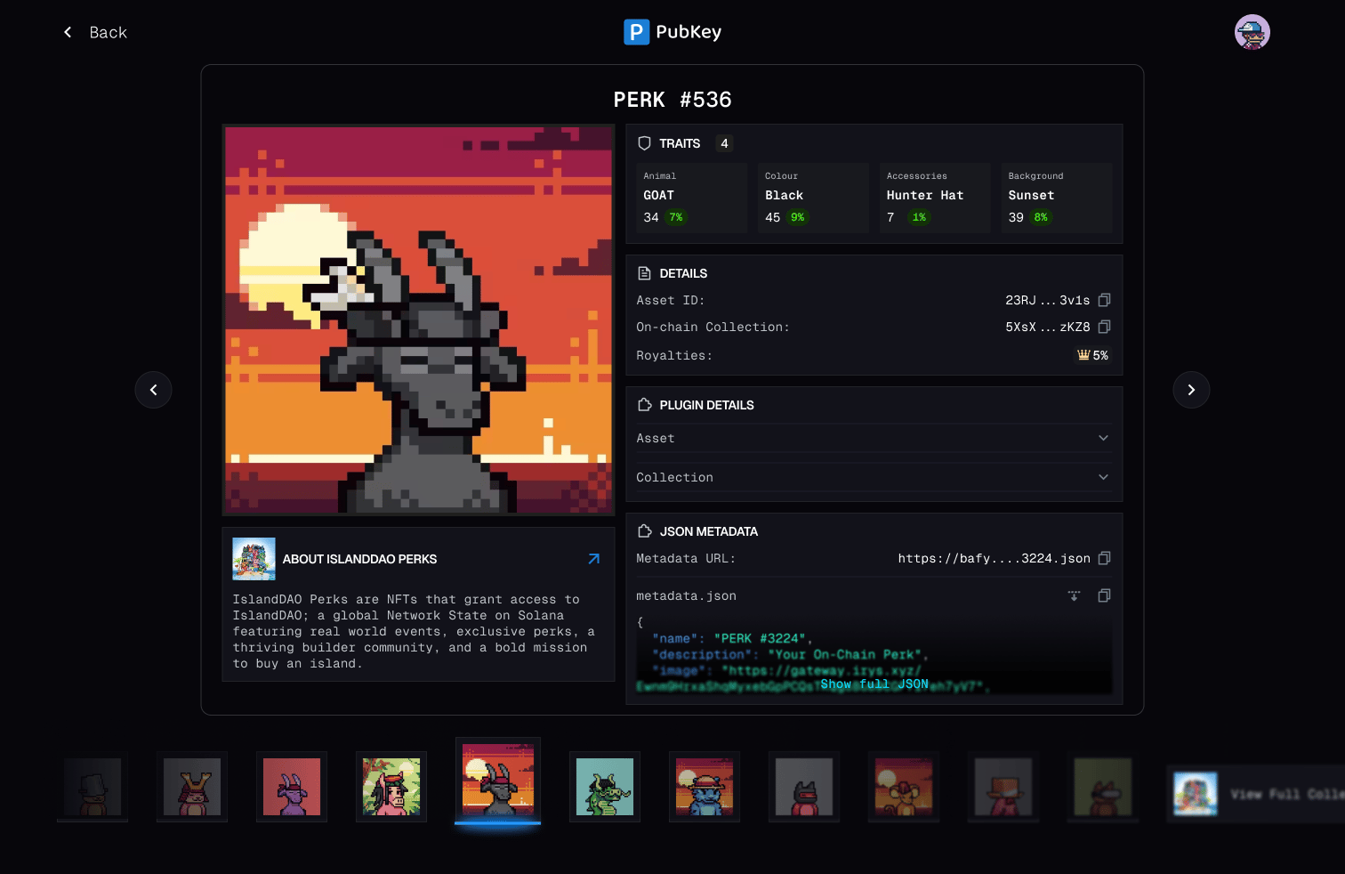 Owned NFT view in Pubkey